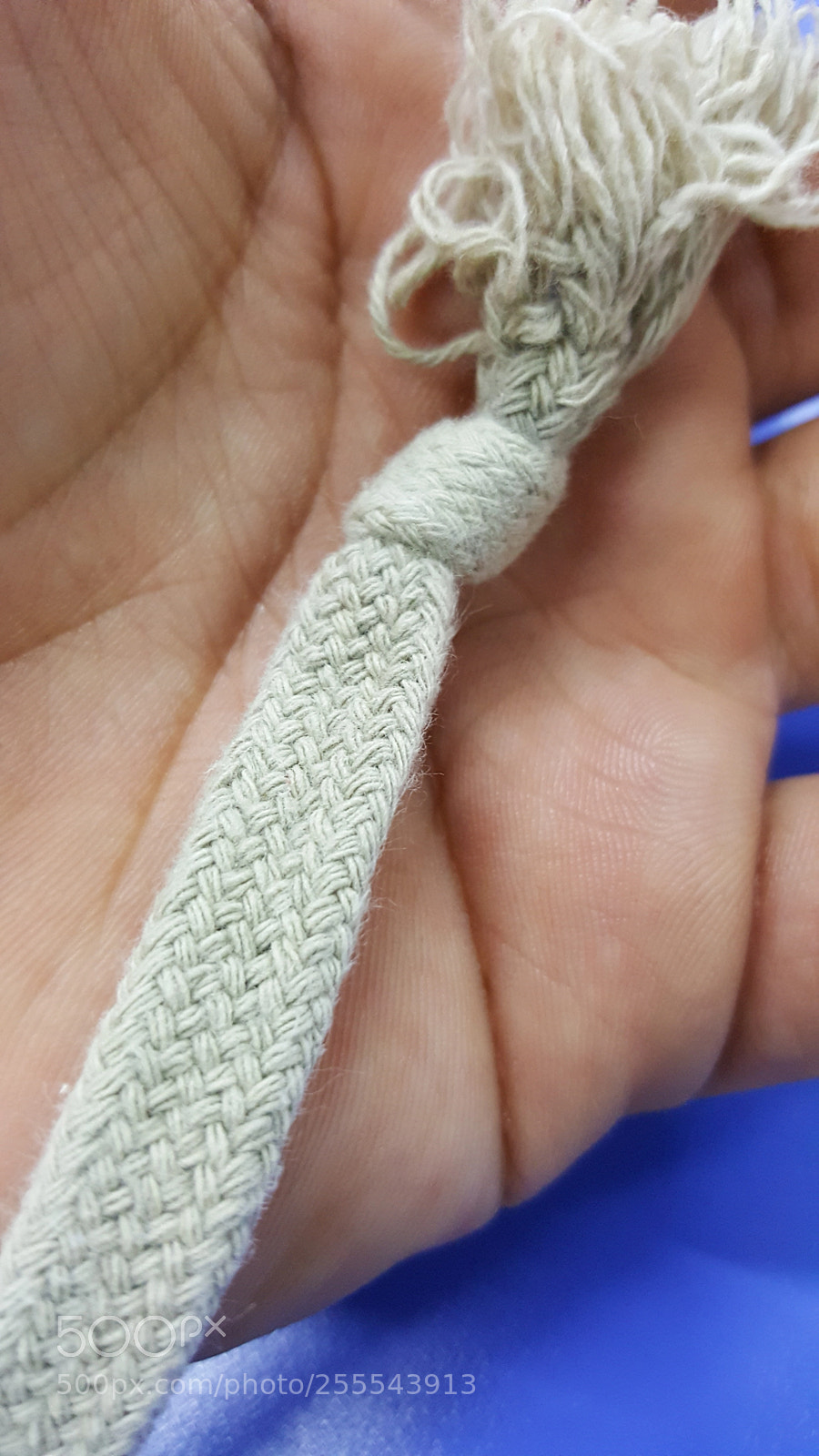 Samsung Galaxy Note5 sample photo. Tail of fake photography