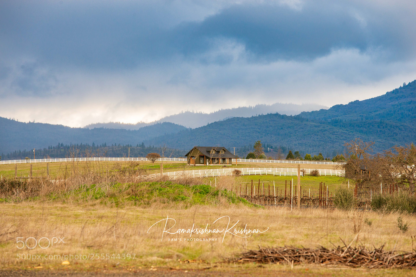 Nikon D610 sample photo. Rural oregon landscape photography