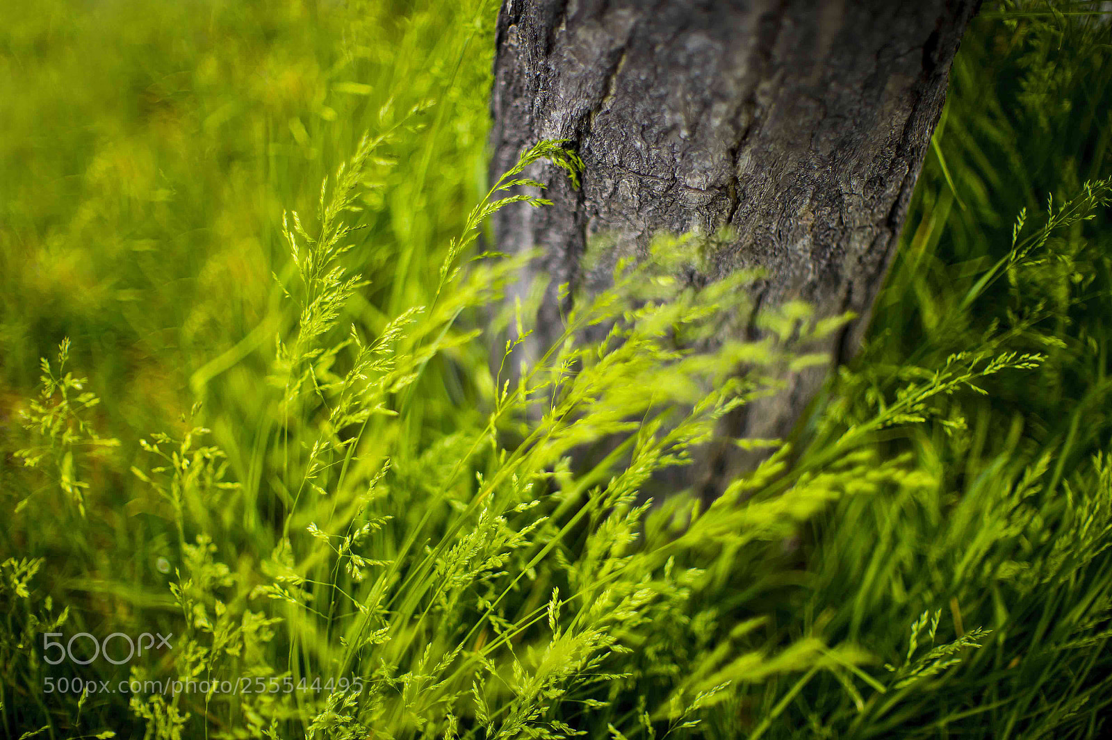 Nikon D4 sample photo. Untitled photography