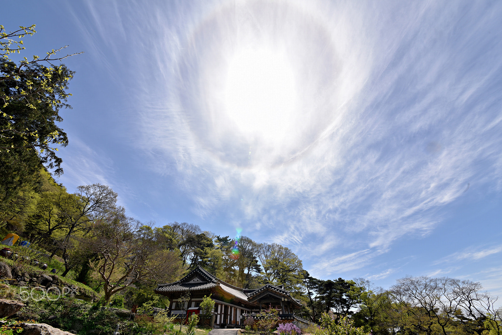 Sigma 12-24mm F4.5-5.6 II DG HSM sample photo. Halo photography