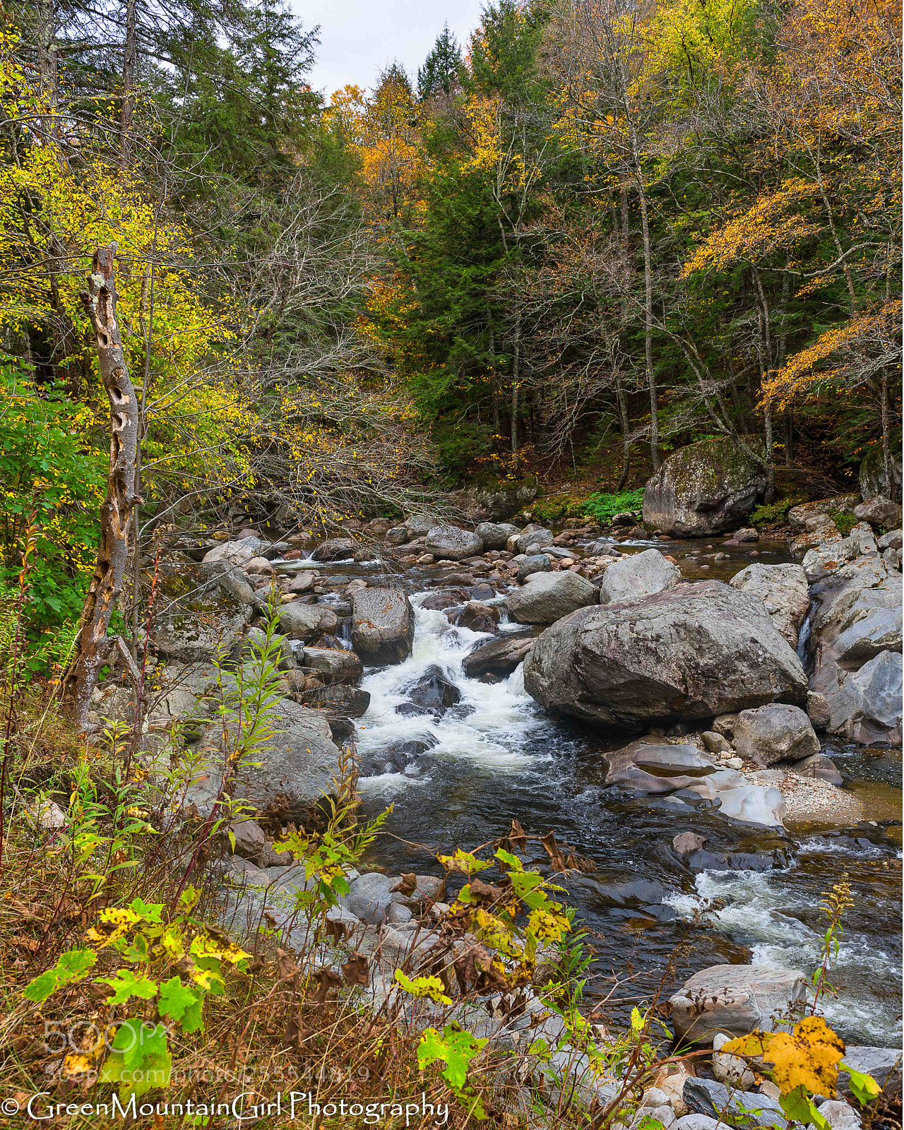 Nikon D810 sample photo. Early fall on the photography