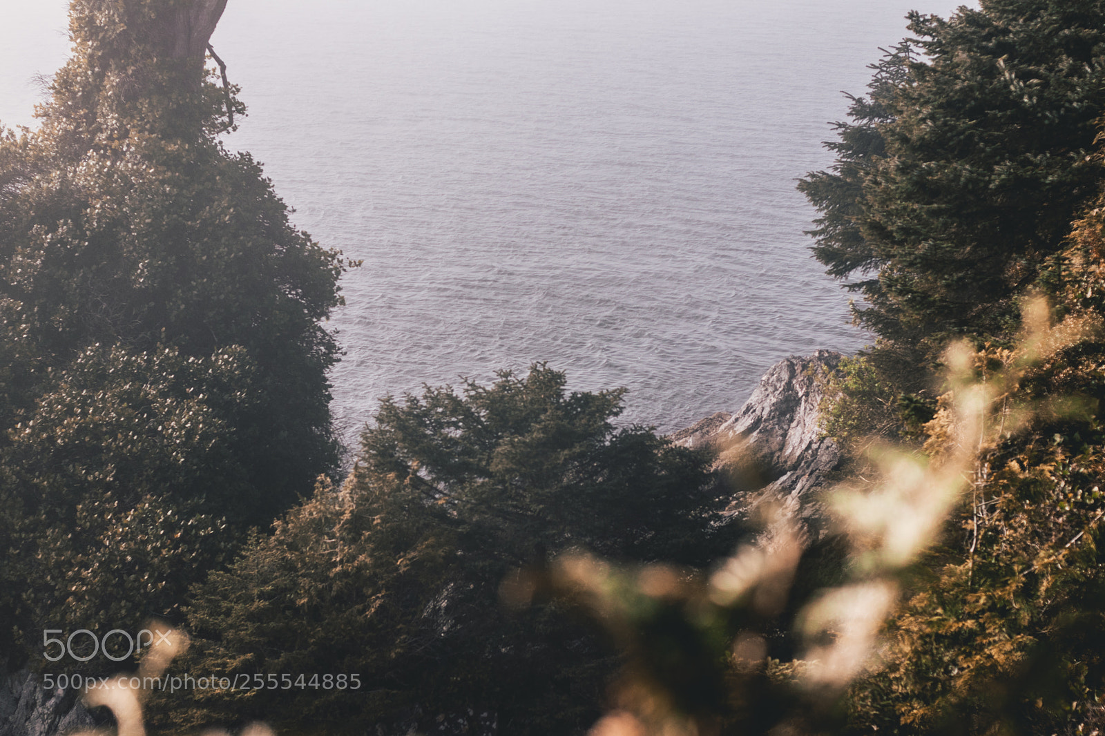 Canon EOS 80D sample photo. Tonquin, tofino photography