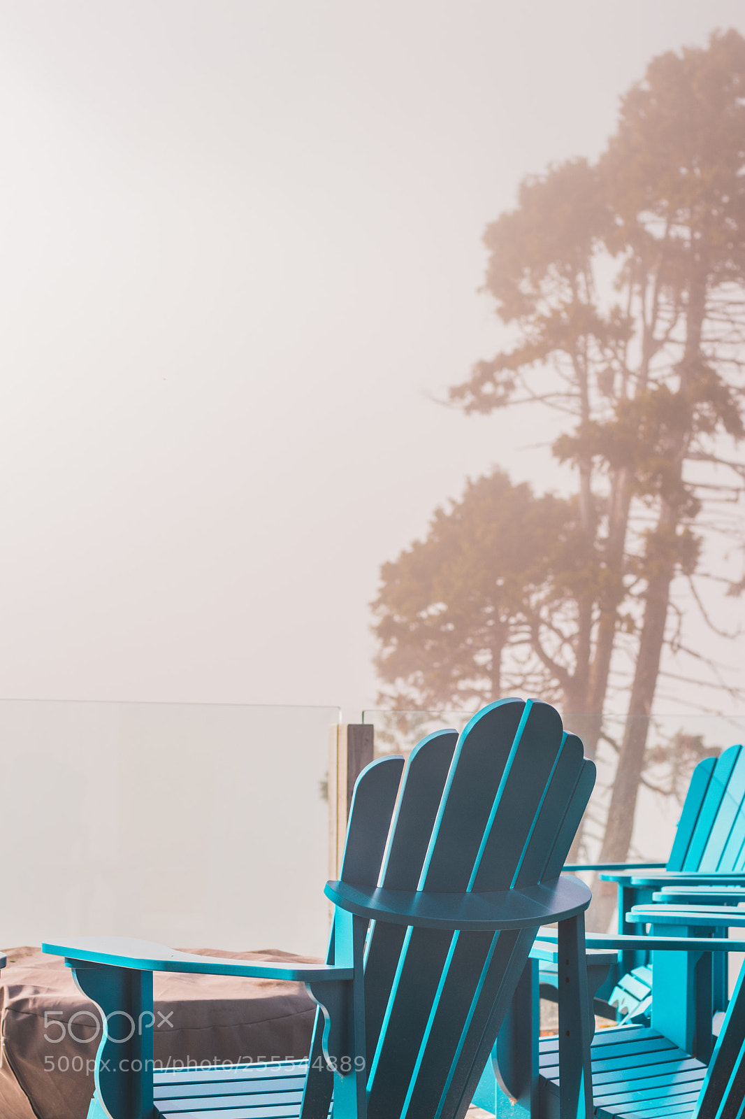 Canon EOS 80D sample photo. Armchair in the mist photography