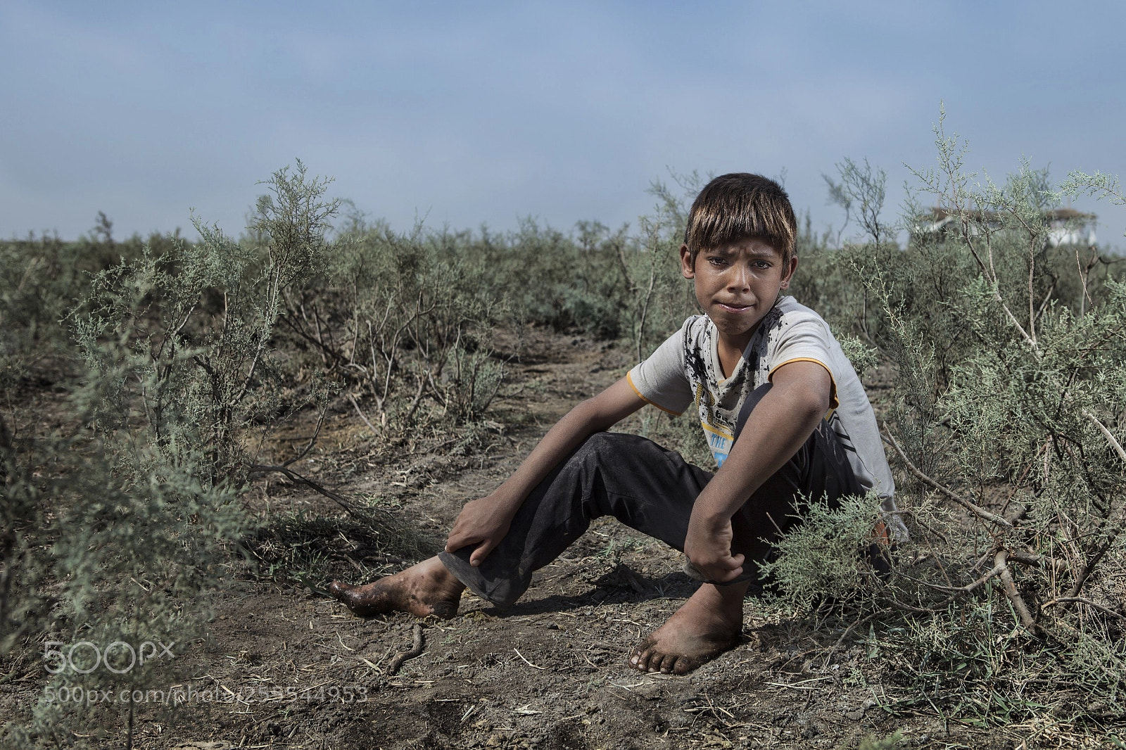 Canon EOS 5D Mark II sample photo. Untitled photography