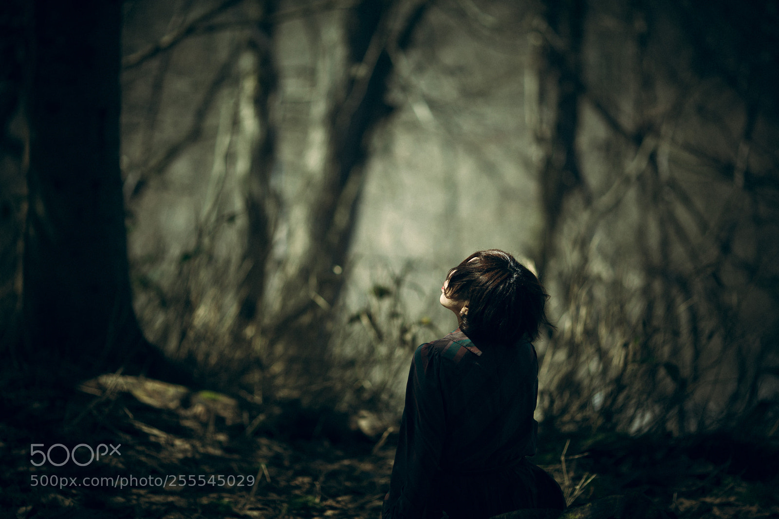 Canon EOS 5D Mark II sample photo. Untitled photography