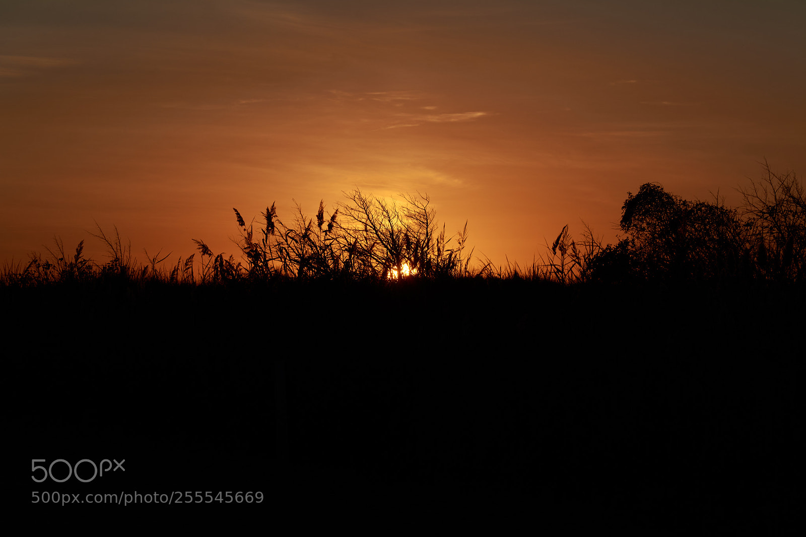 Nikon D7100 sample photo. Sunrise photography