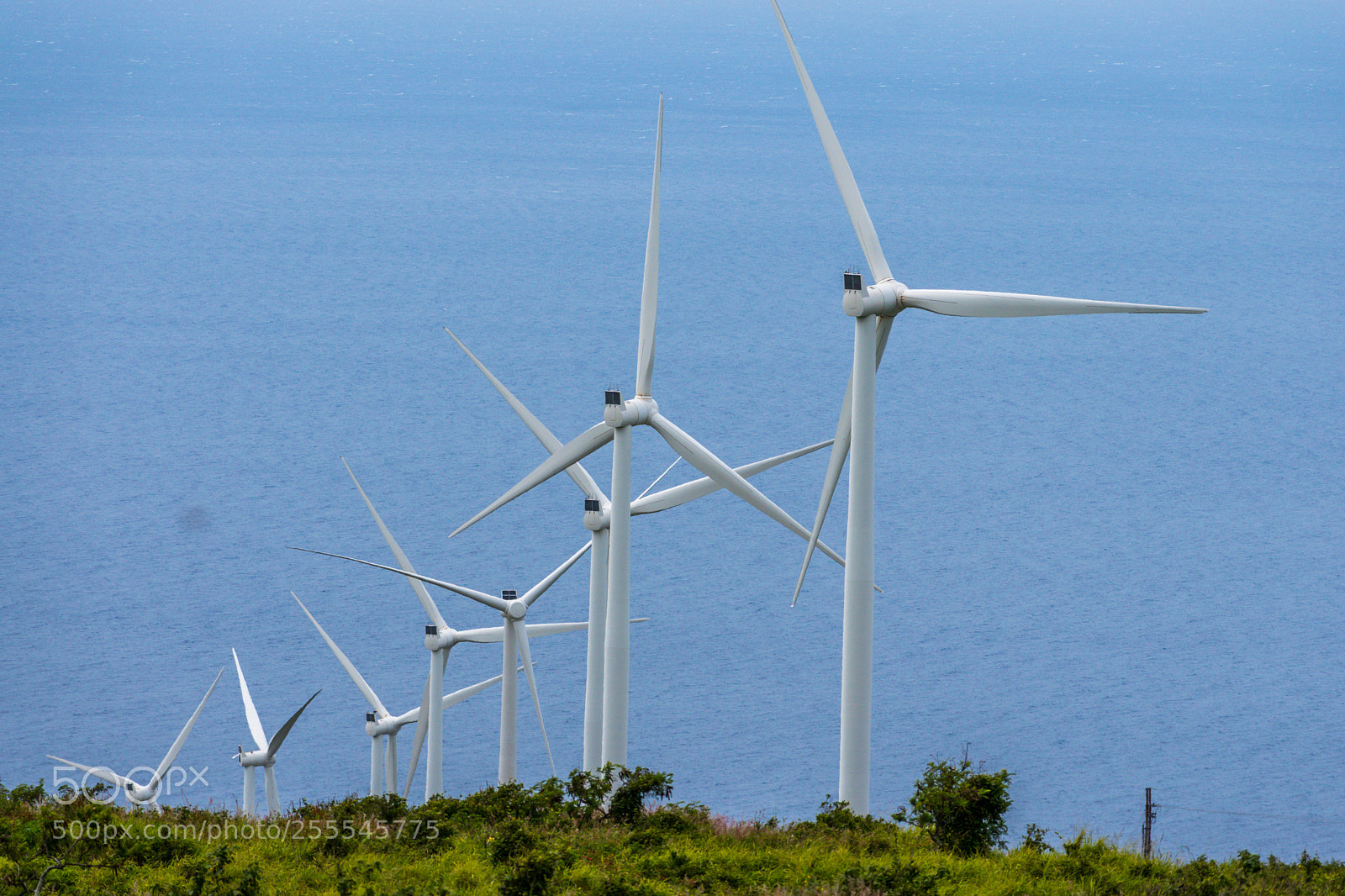 Nikon D5500 sample photo. Windmills on road to photography