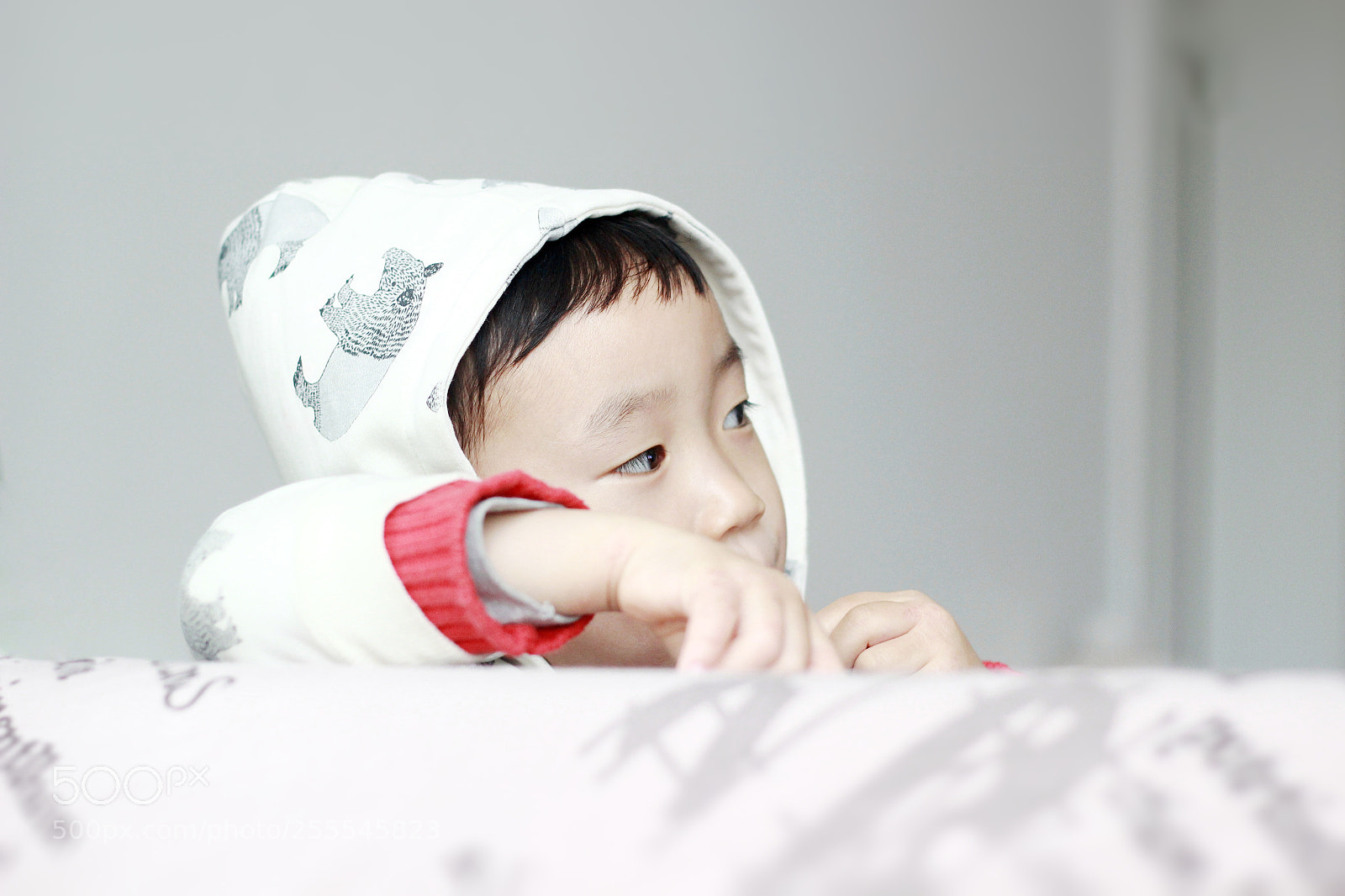 Canon EOS 600D (Rebel EOS T3i / EOS Kiss X5) sample photo. Untitled photography