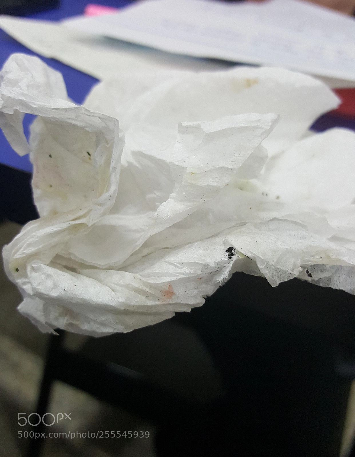 Samsung Galaxy Note5 sample photo. Papertrail photography