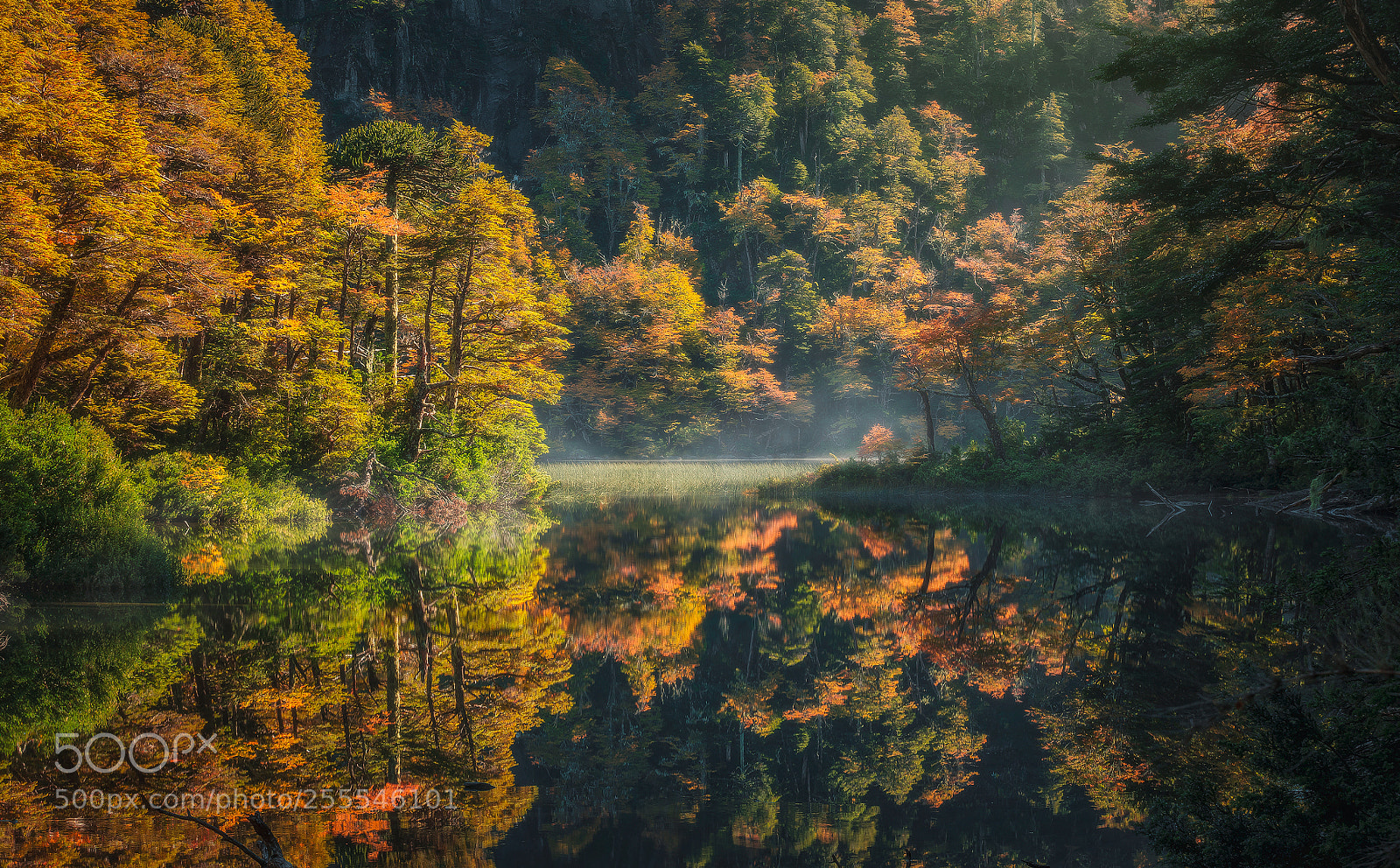 Canon EOS 6D sample photo. Lago chico, parque nacional photography