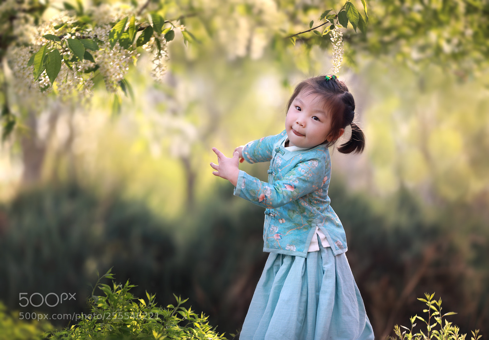 Canon EOS 5D Mark IV sample photo. 孔雀舞 photography