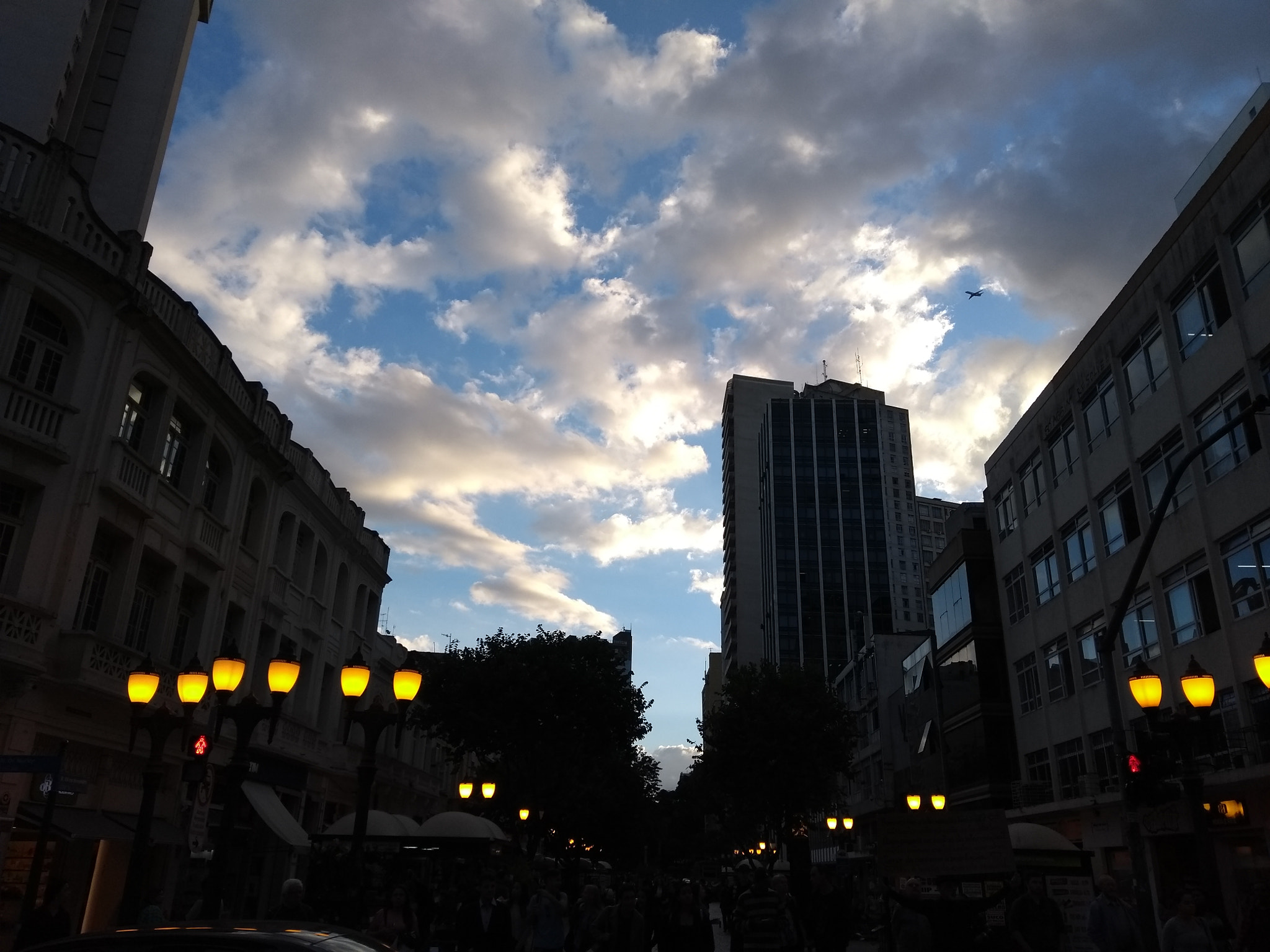 Motorola Moto G (5th Gen) sample photo. The flowers street. photography