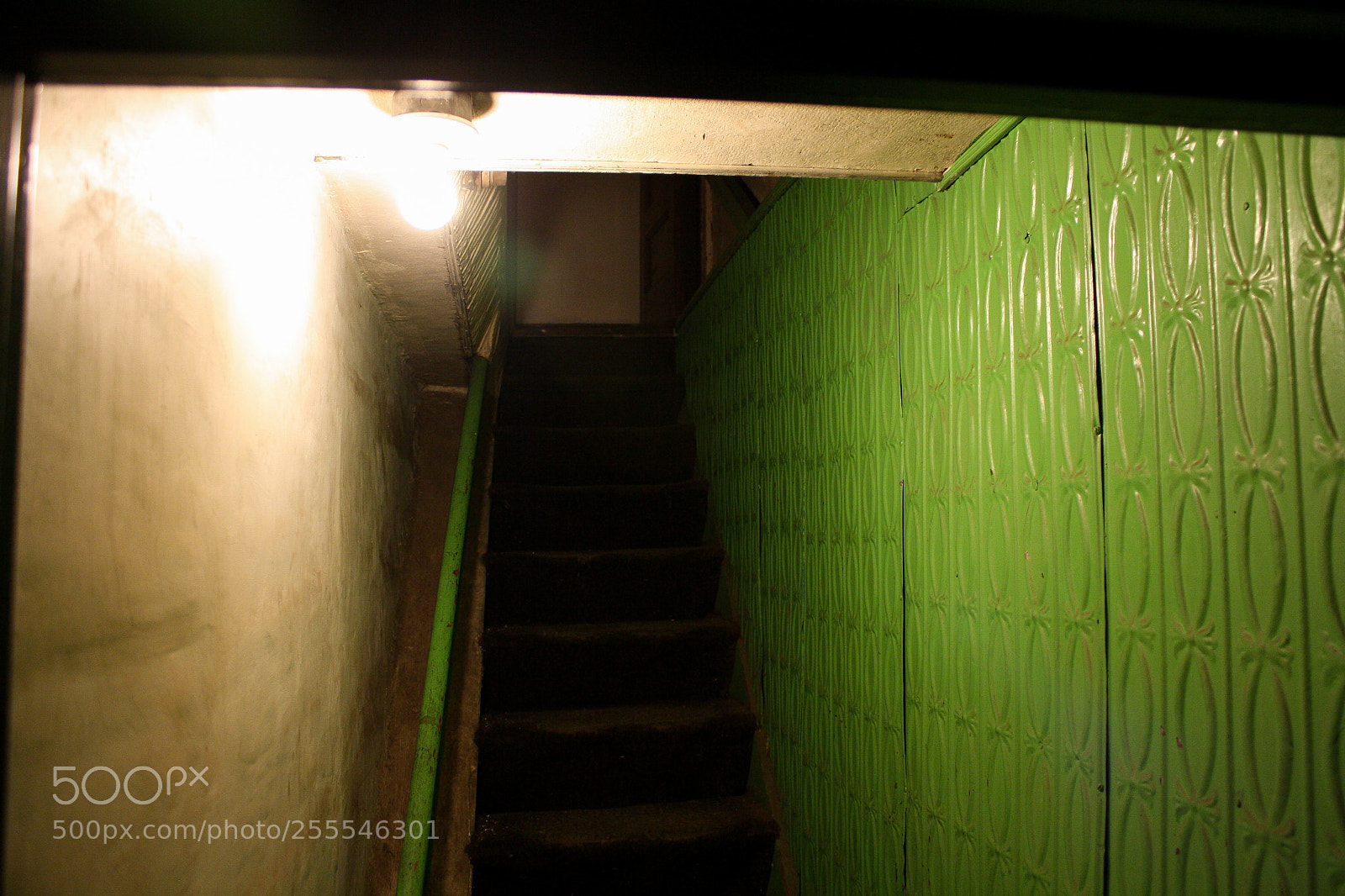 Canon EOS 1000D (EOS Digital Rebel XS / EOS Kiss F) sample photo. Basement vibes iv photography