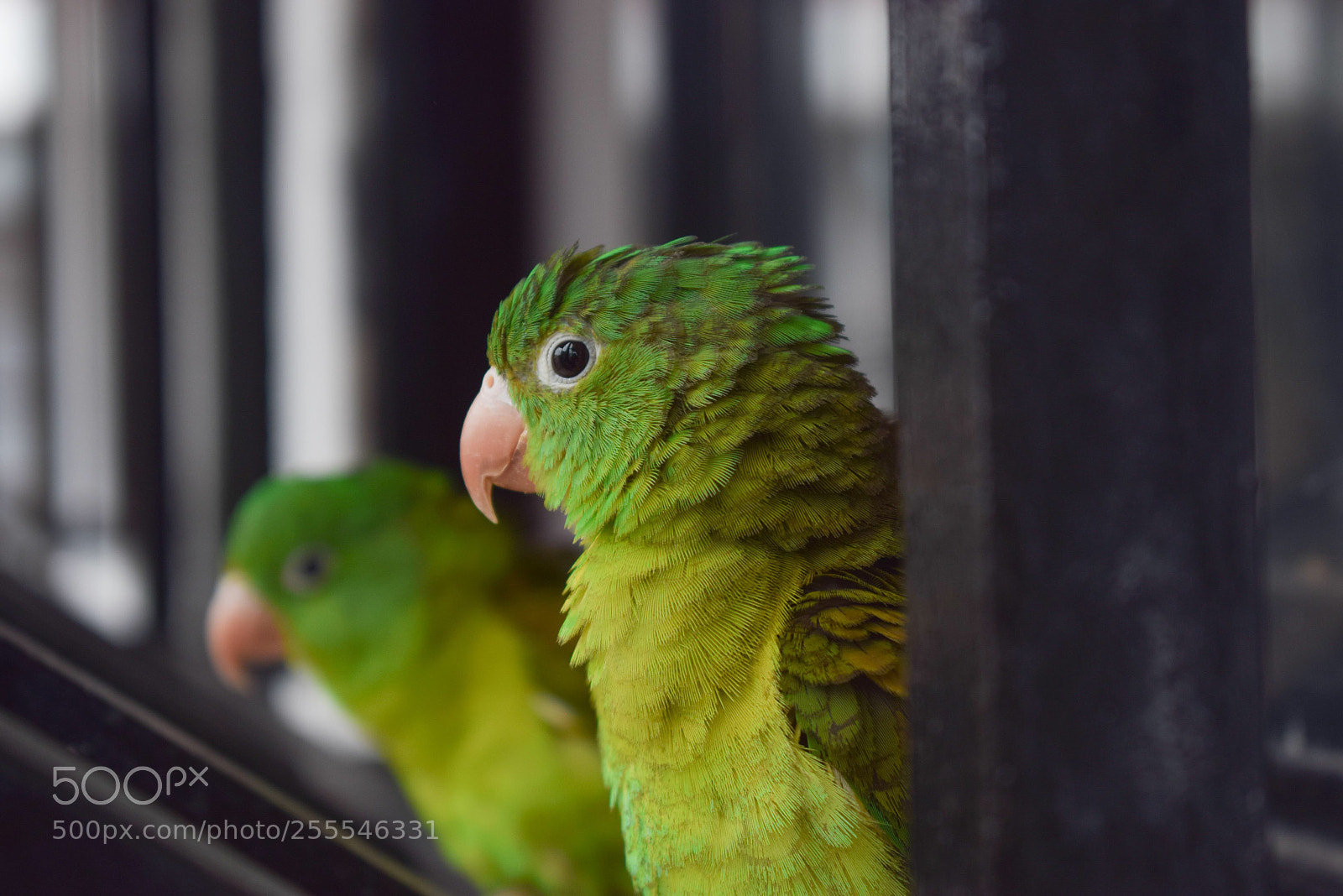 Nikon D3300 sample photo. Untitled photography