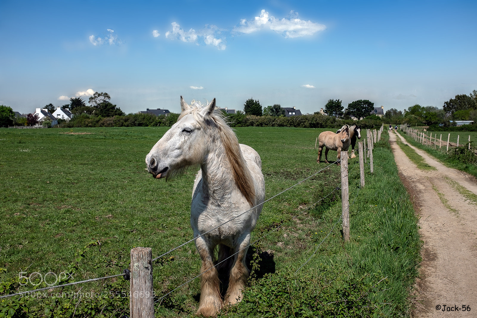 Fujifilm X100T sample photo. Tu l'aimes mon profil ? photography
