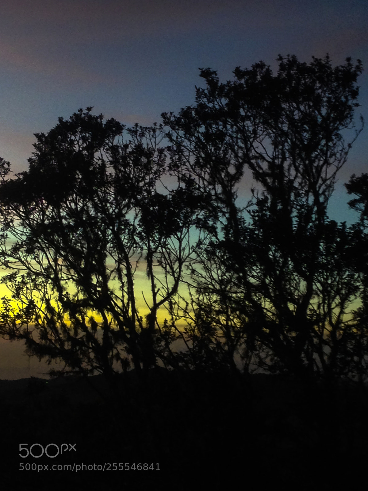 Apple iPhone 5 sample photo. Colores de un atardecer photography