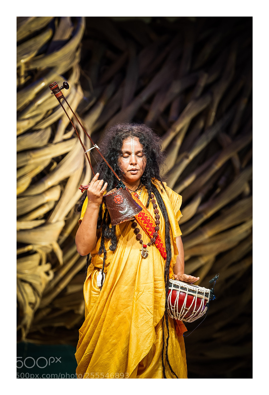 Nikon D700 sample photo. Tapestry photography