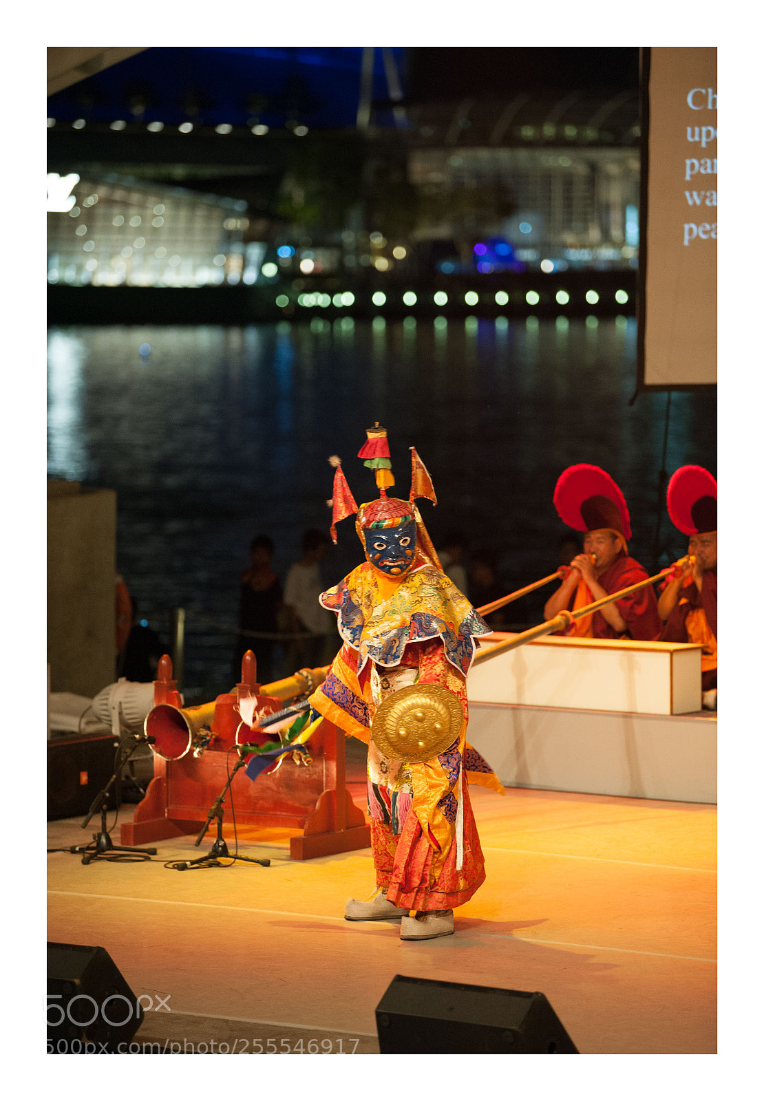 Nikon D700 sample photo. Tapestry photography