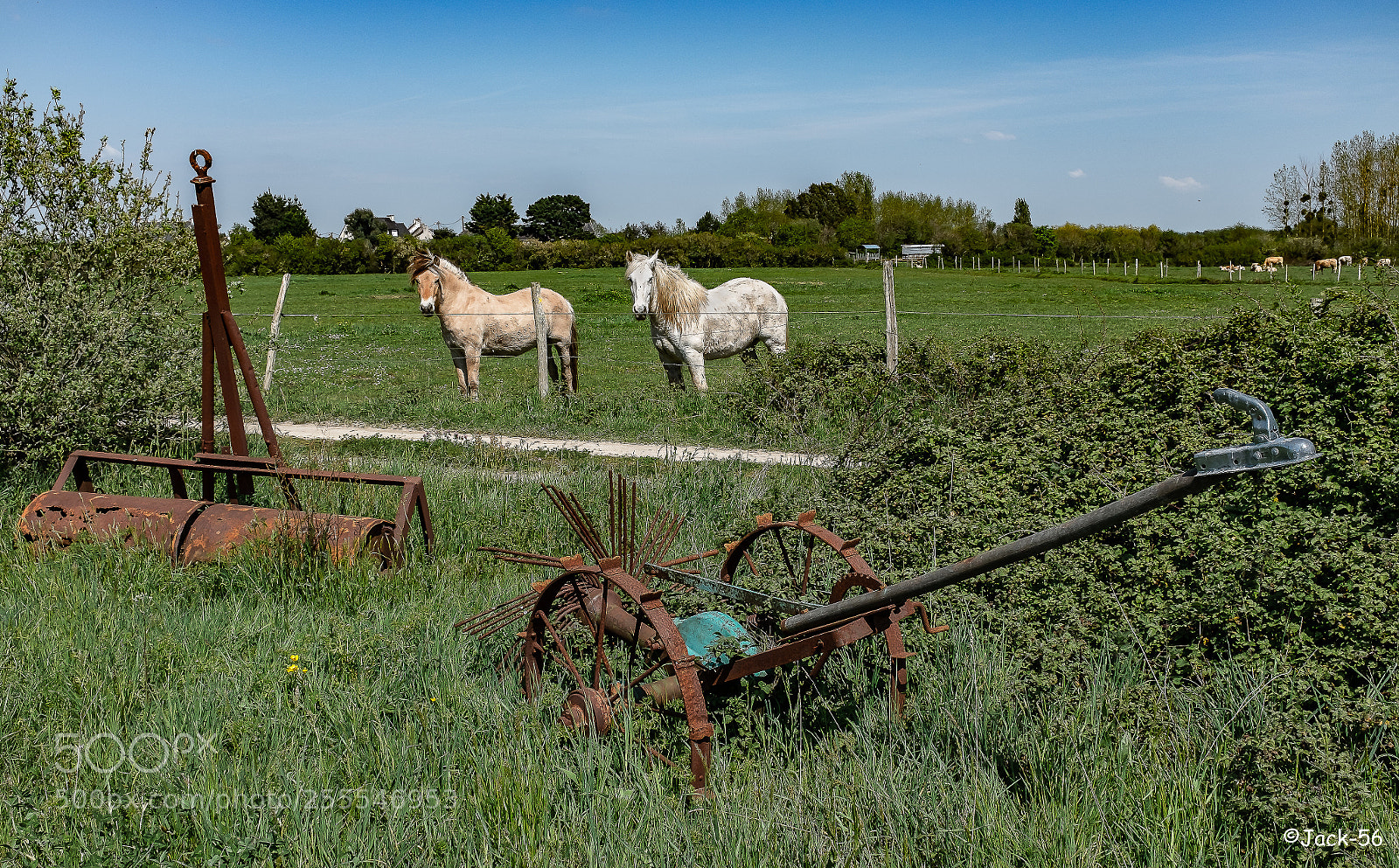 Fujifilm X100T sample photo. Untitled photography
