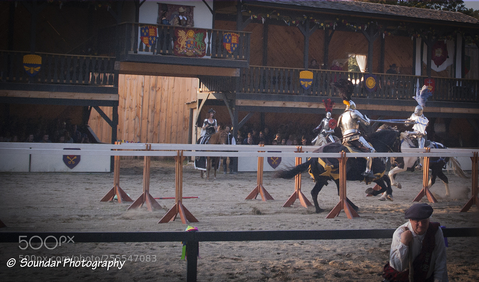 Nikon D50 sample photo. Jousting photography