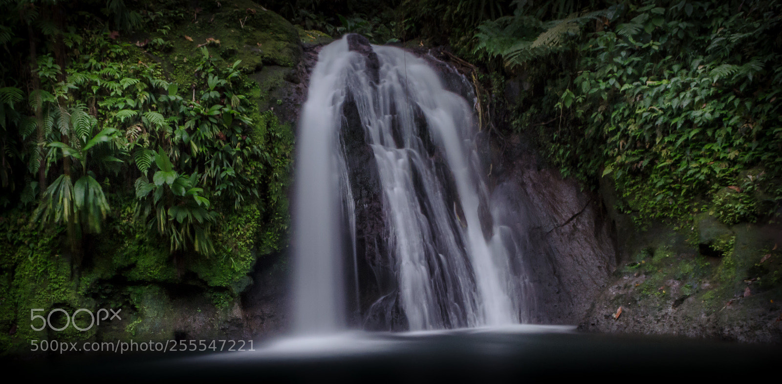 Nikon D5100 sample photo. Untitled photography