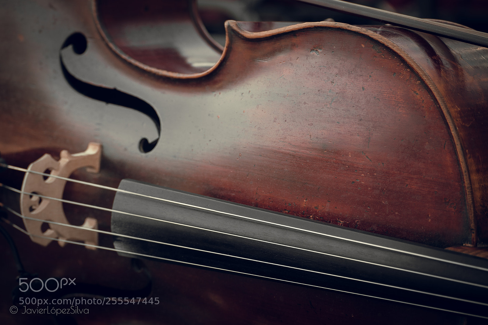 Nikon D3300 sample photo. Cello - chile symphonic photography