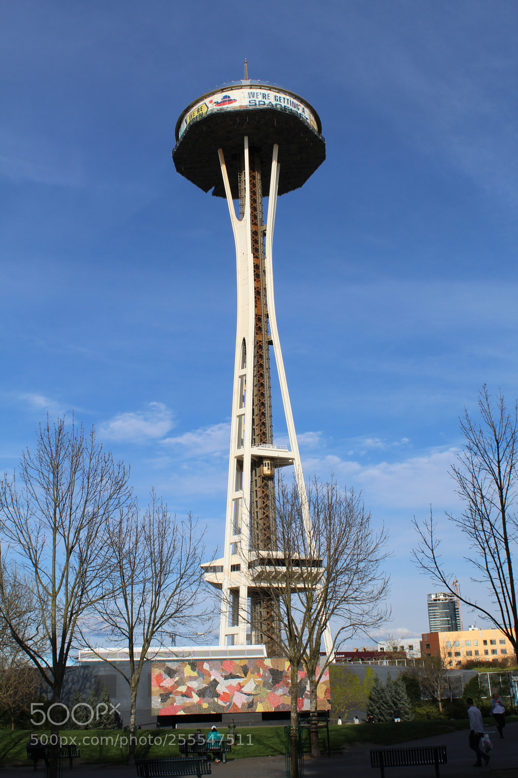 Canon EOS 600D (Rebel EOS T3i / EOS Kiss X5) sample photo. Space needle photography