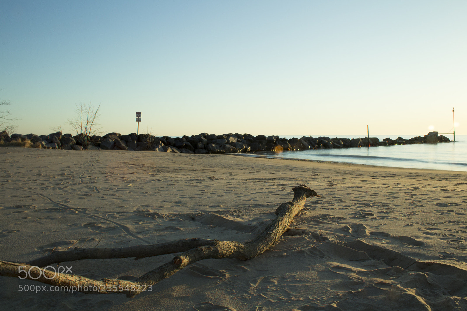Canon EOS 1200D (EOS Rebel T5 / EOS Kiss X70 / EOS Hi) sample photo. Driftwood photography