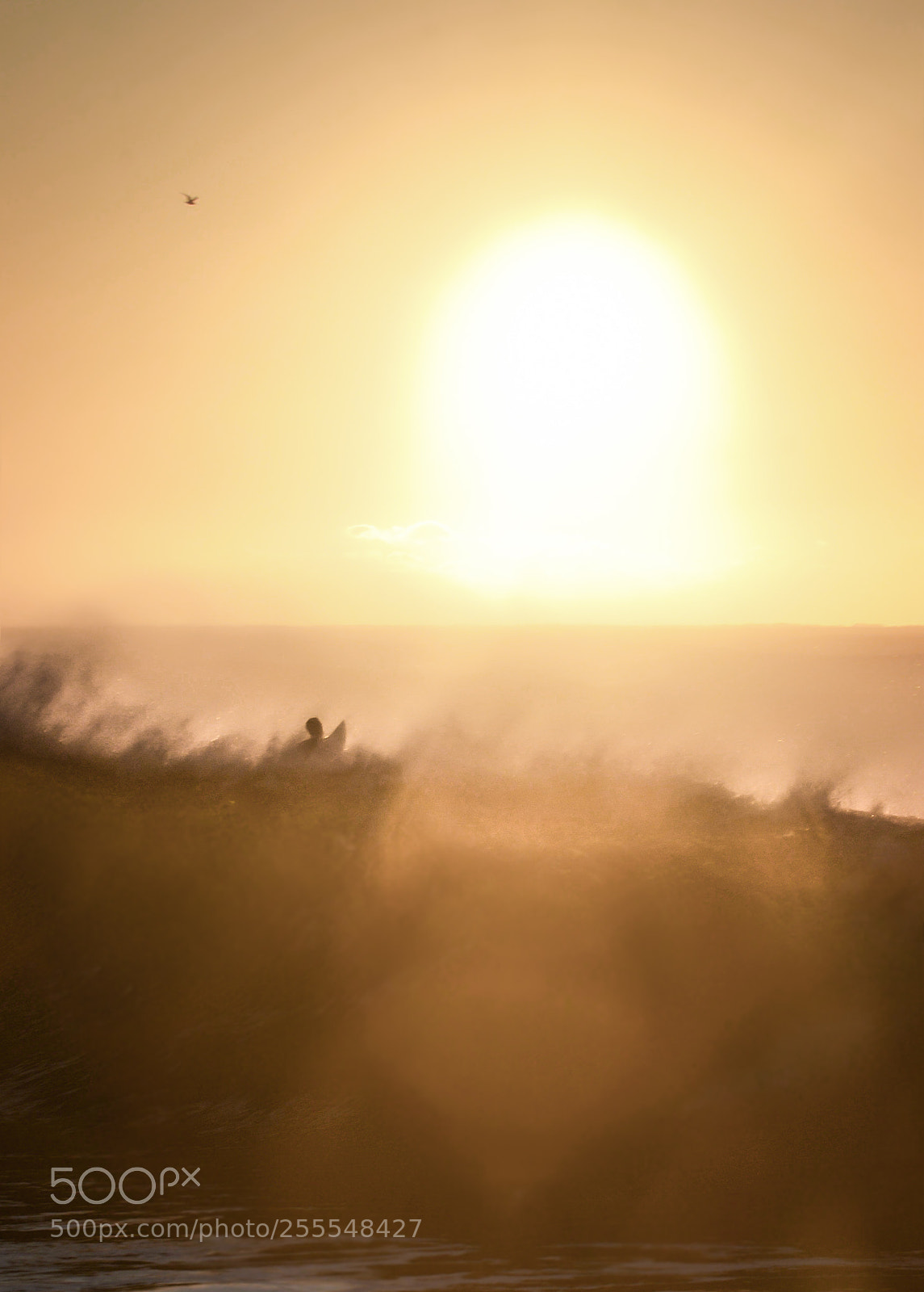 Nikon D600 sample photo. The light at the photography