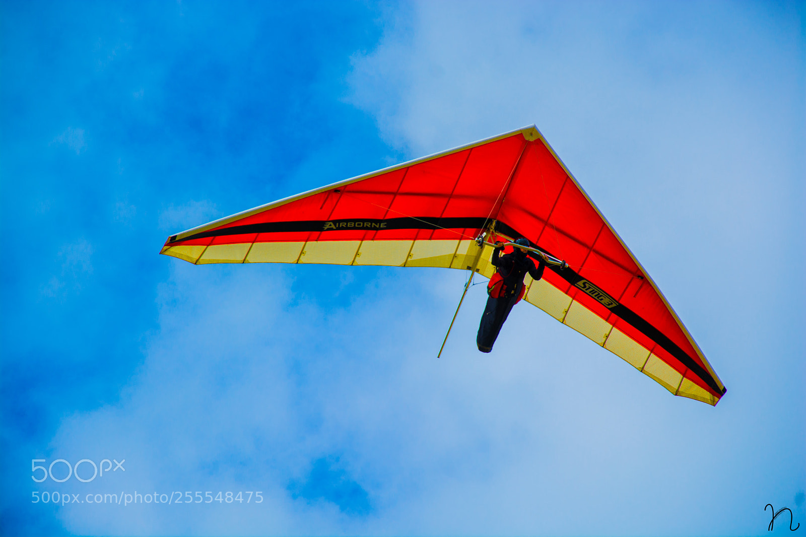Nikon D7100 sample photo. Flying colors photography