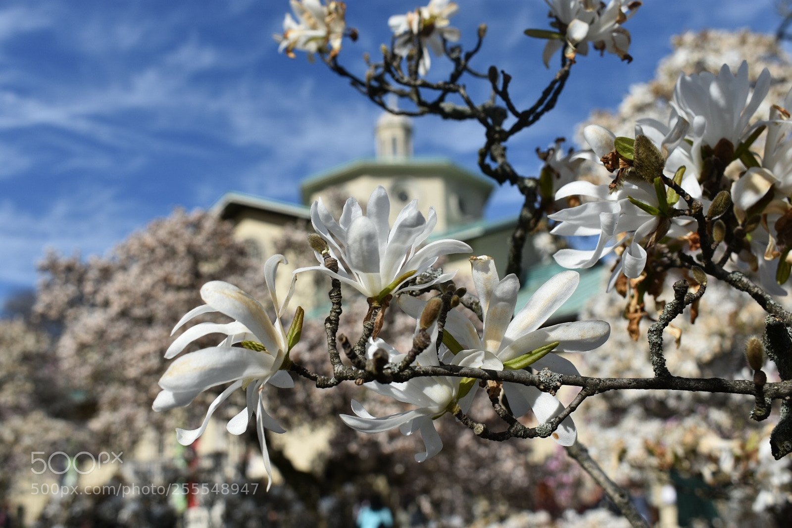 Nikon D3400 sample photo. Untitled photography