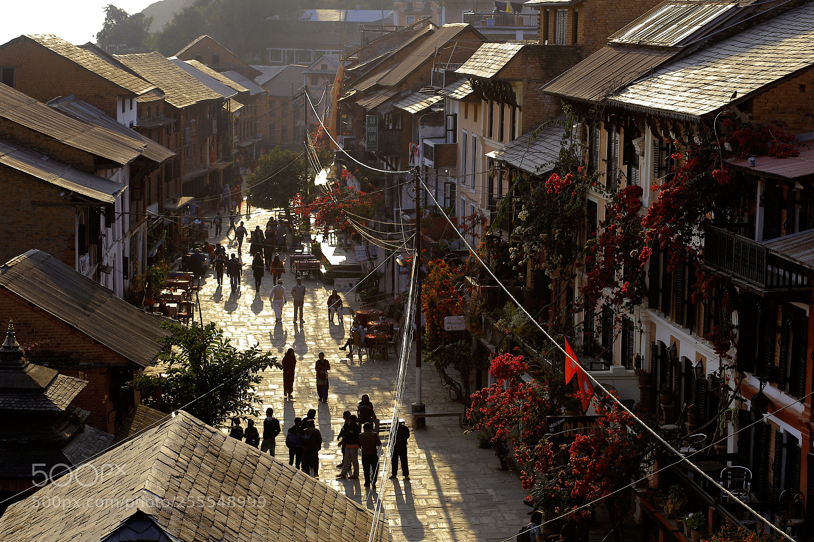 Canon EOS 6D sample photo. Street of bandipur photography