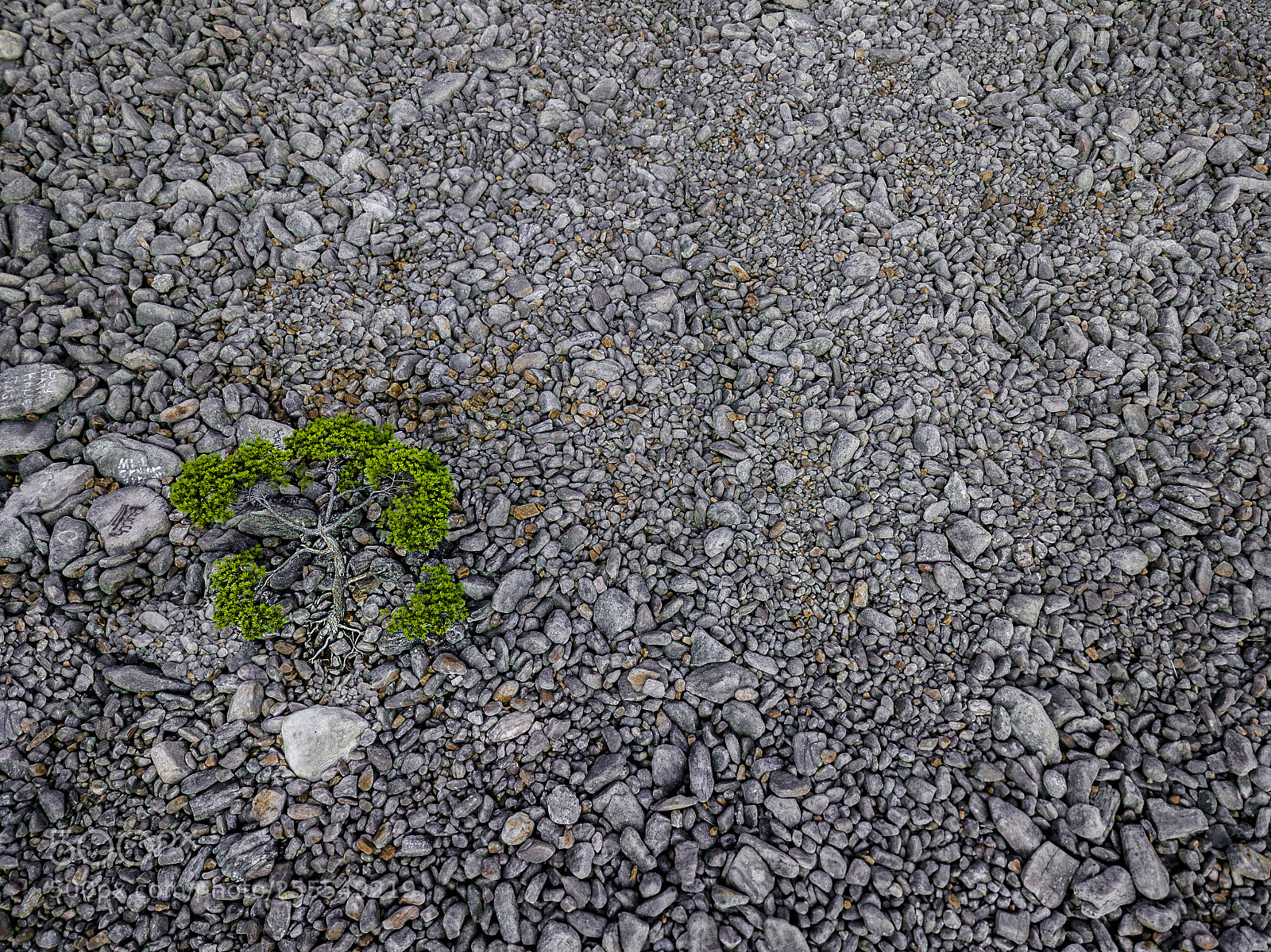 DJI FC220 sample photo. Field of boulders, lonely photography