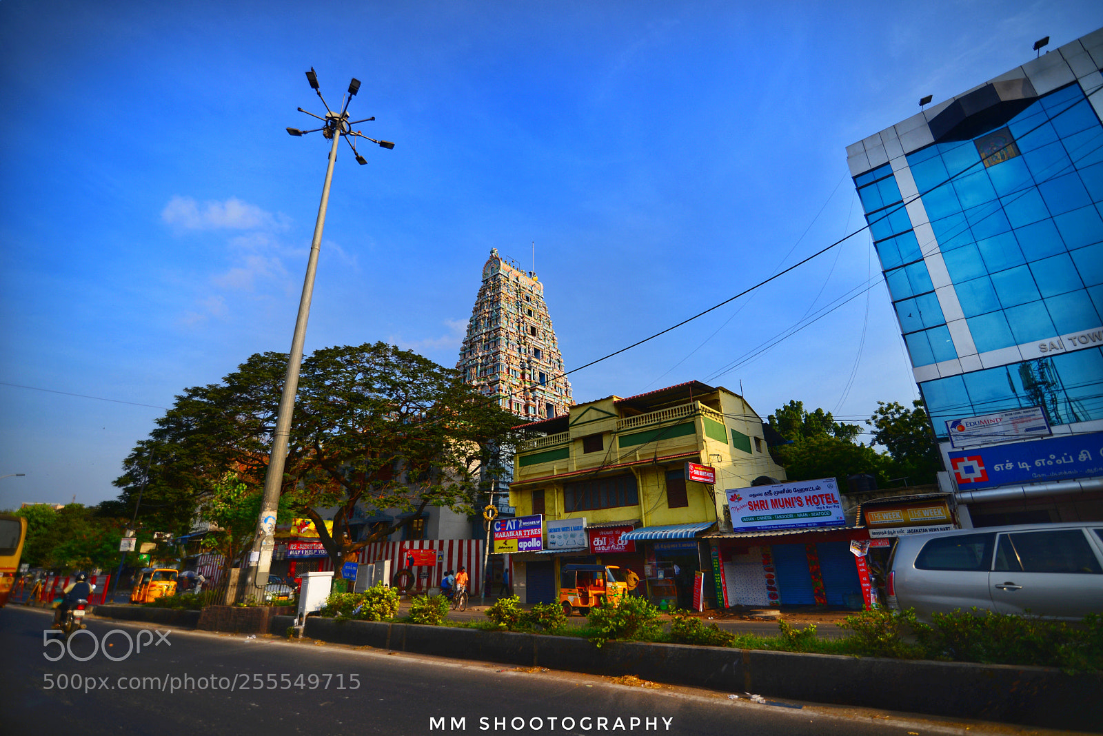 Nikon D610 sample photo. Temple view photography