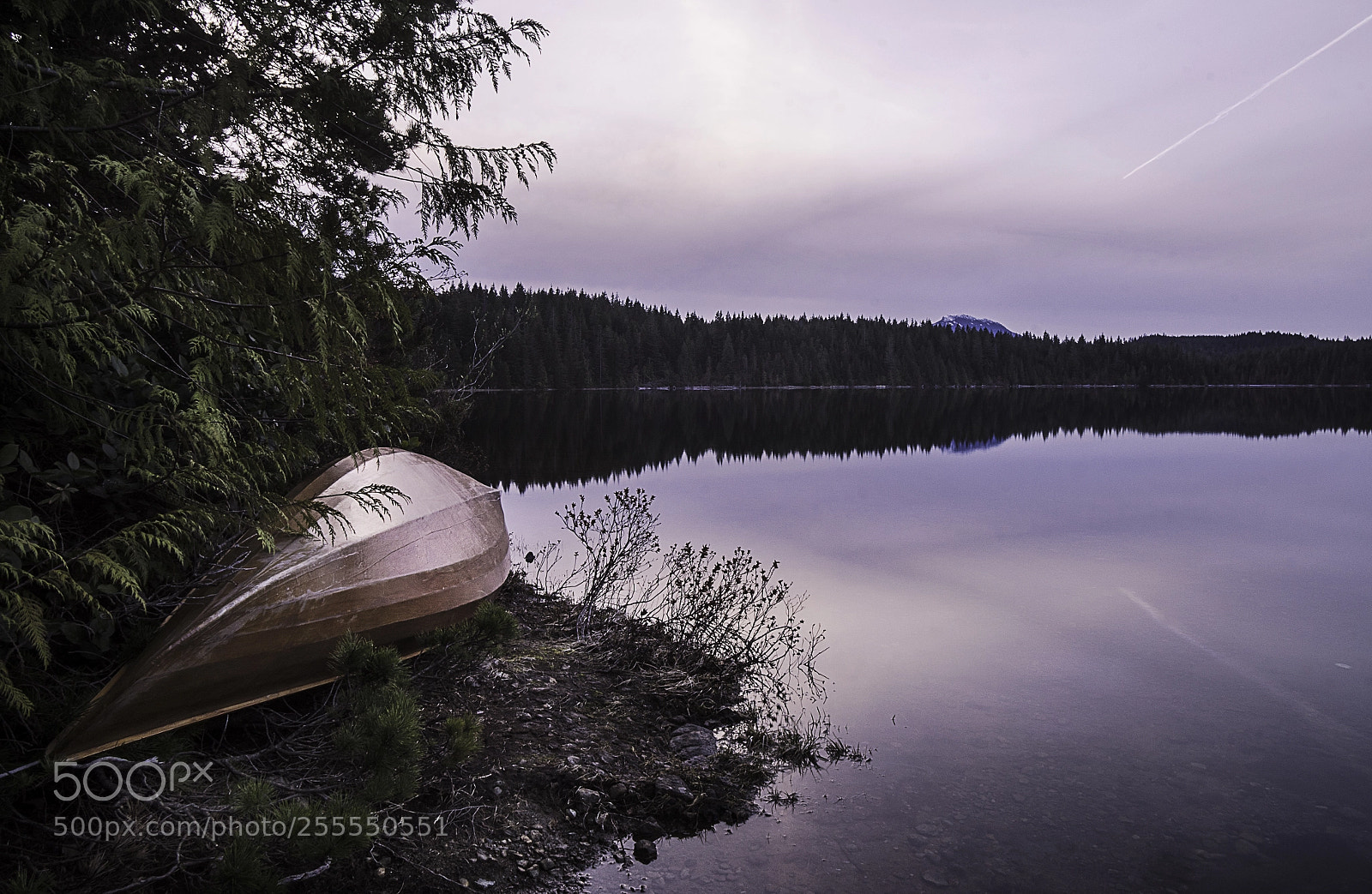 Sony a7R sample photo. The night's rest photography