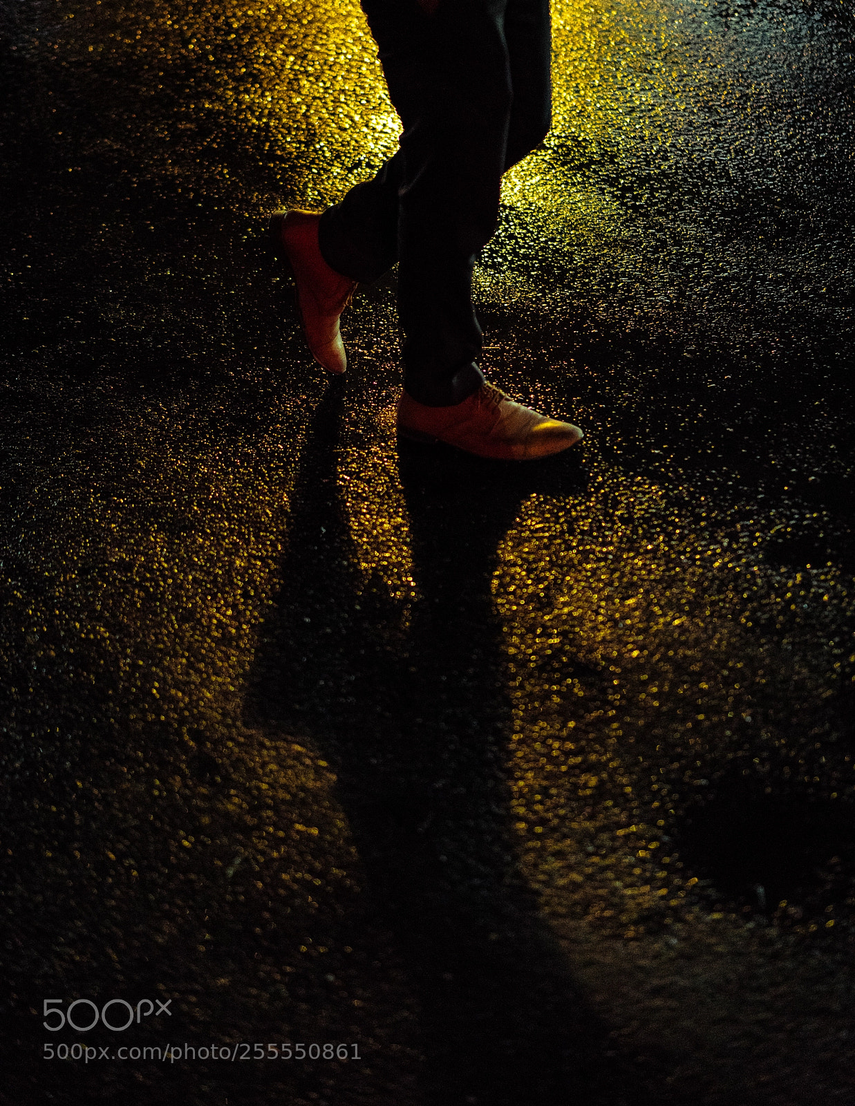 Sony a7R II sample photo. Shadows photography