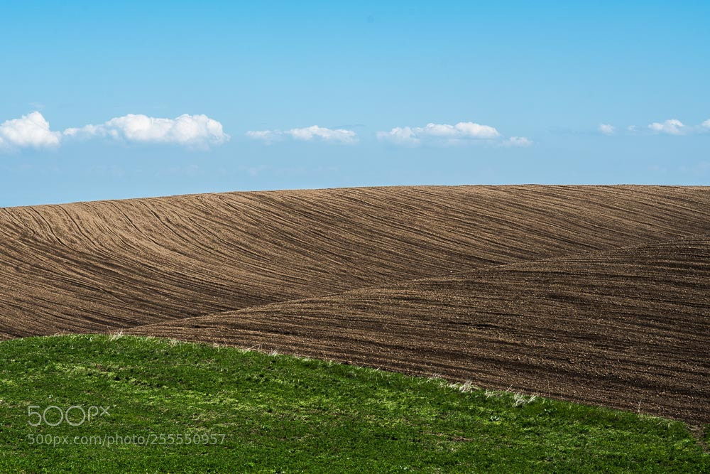 Nikon D800 sample photo. Distant fields photography