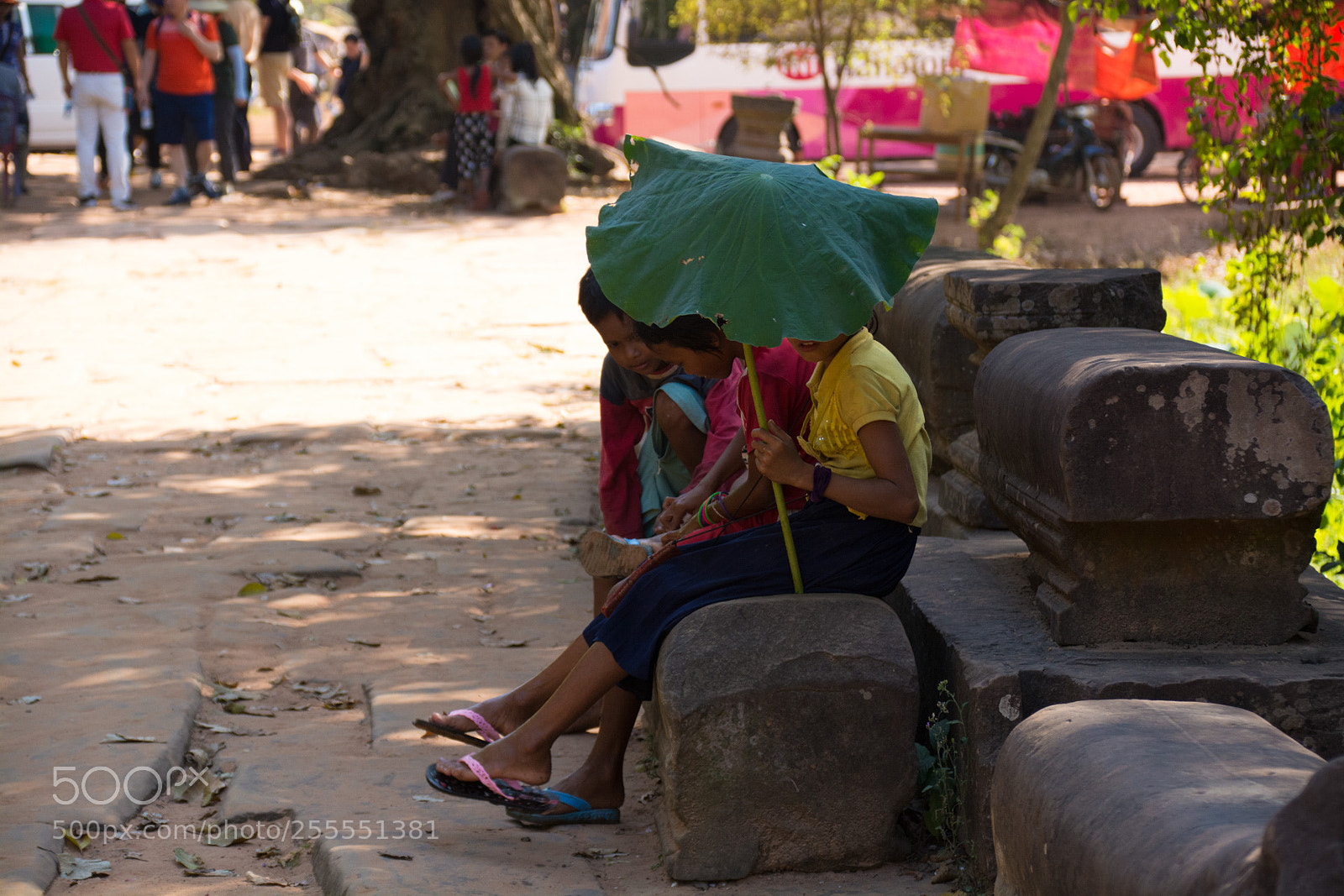 Nikon D7100 sample photo. Someday photography