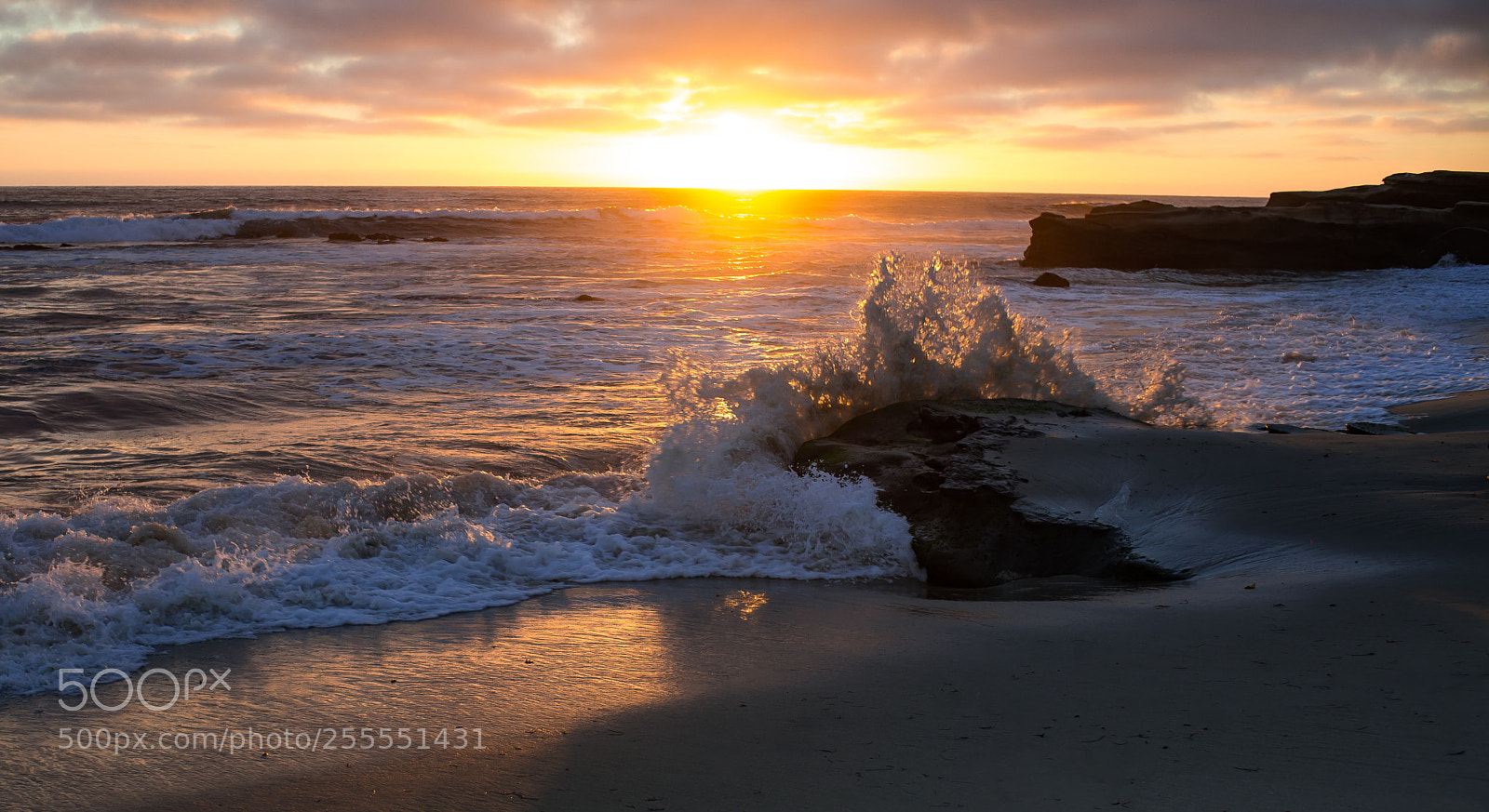 Nikon D600 sample photo. Windansea beach, la jolla photography