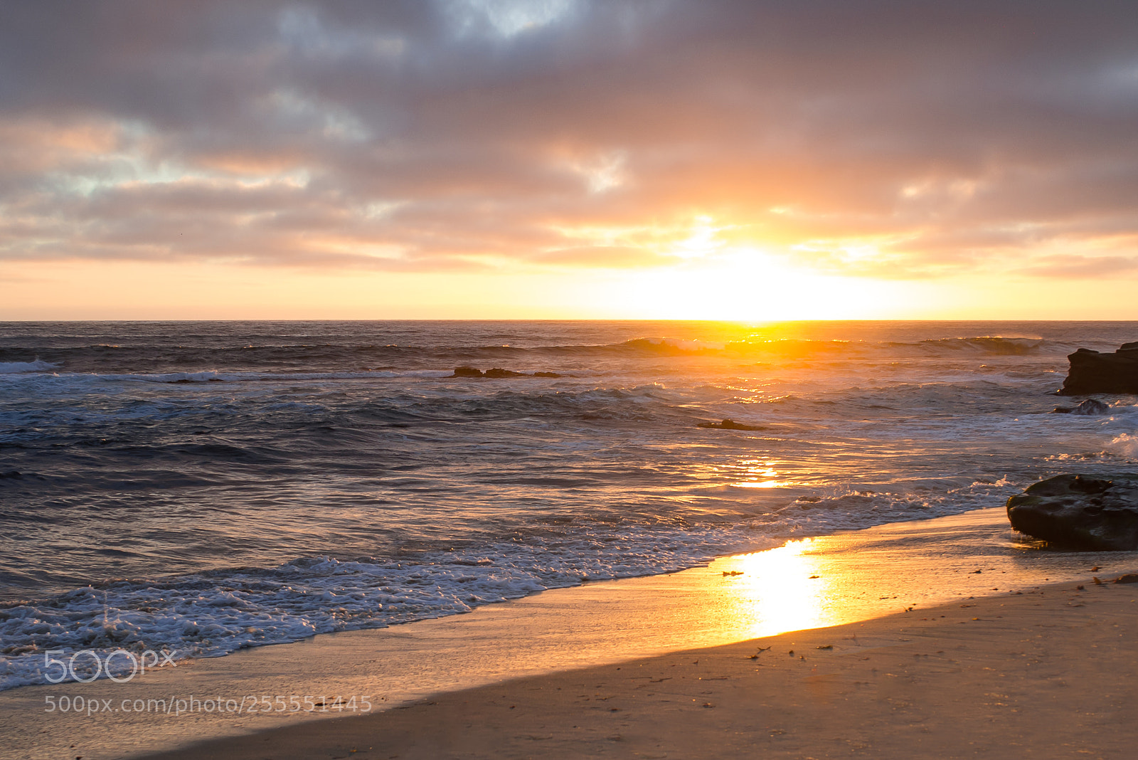 Nikon D600 sample photo. Windansea beach, la jolla photography