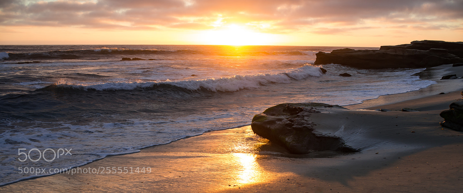 Nikon D600 sample photo. Windansea beach, la jolla photography