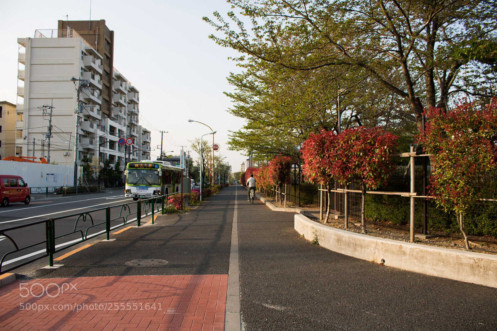 Canon EOS 750D (EOS Rebel T6i / EOS Kiss X8i) sample photo. Spring in tokyo photography