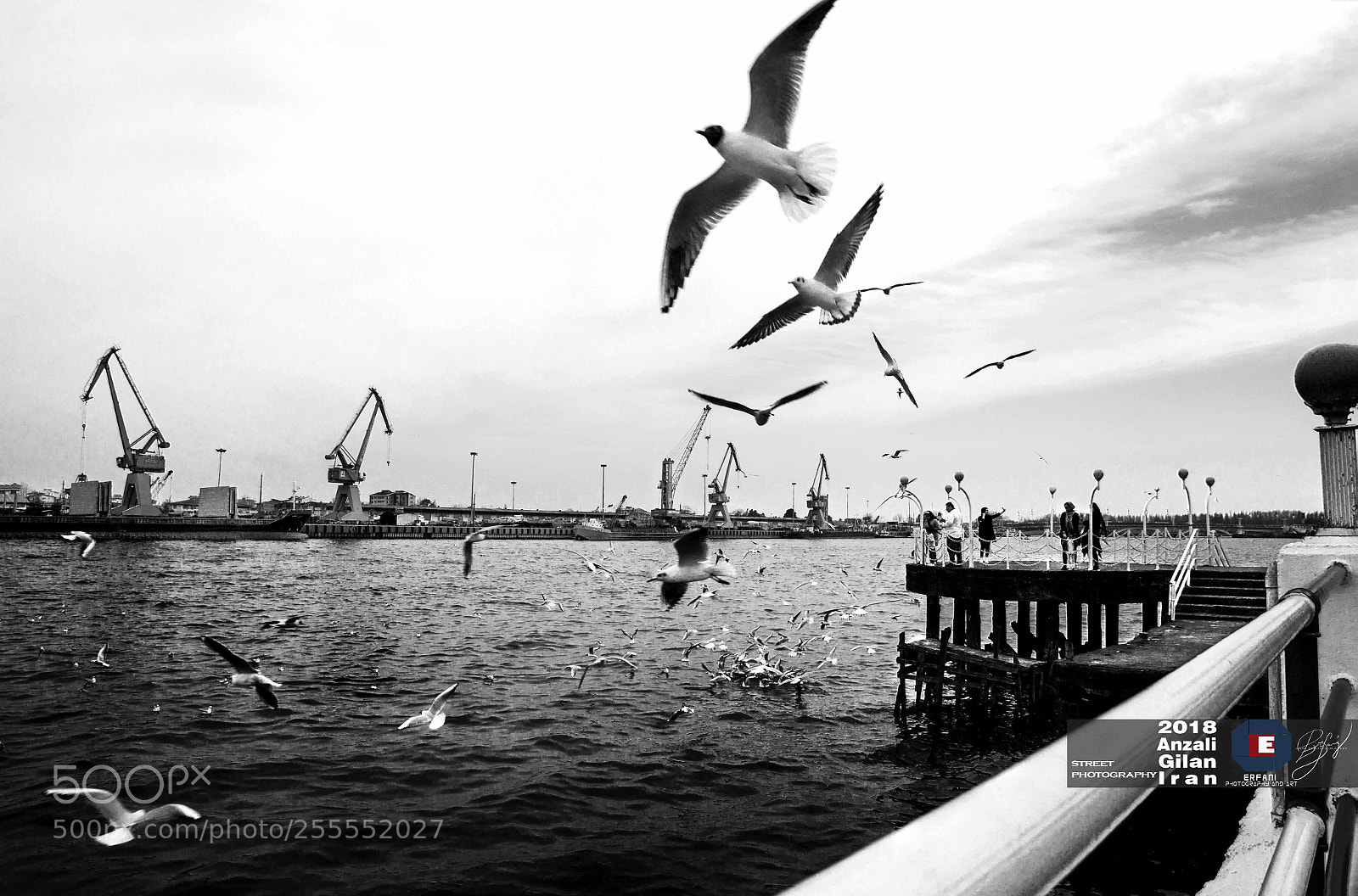 Canon EOS 550D (EOS Rebel T2i / EOS Kiss X4) sample photo. Anzali seaport/ iran photography