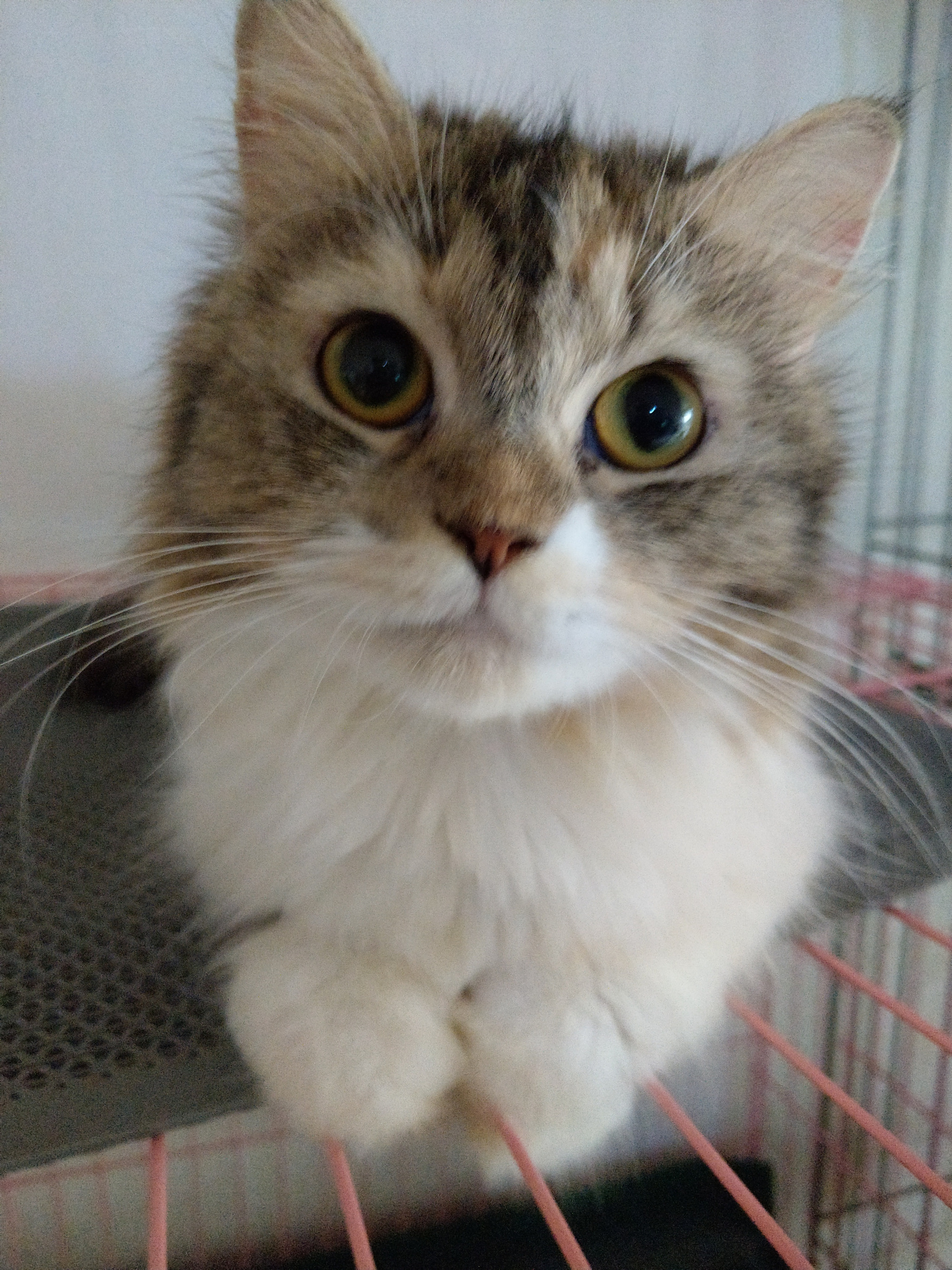 HTC U11+ sample photo