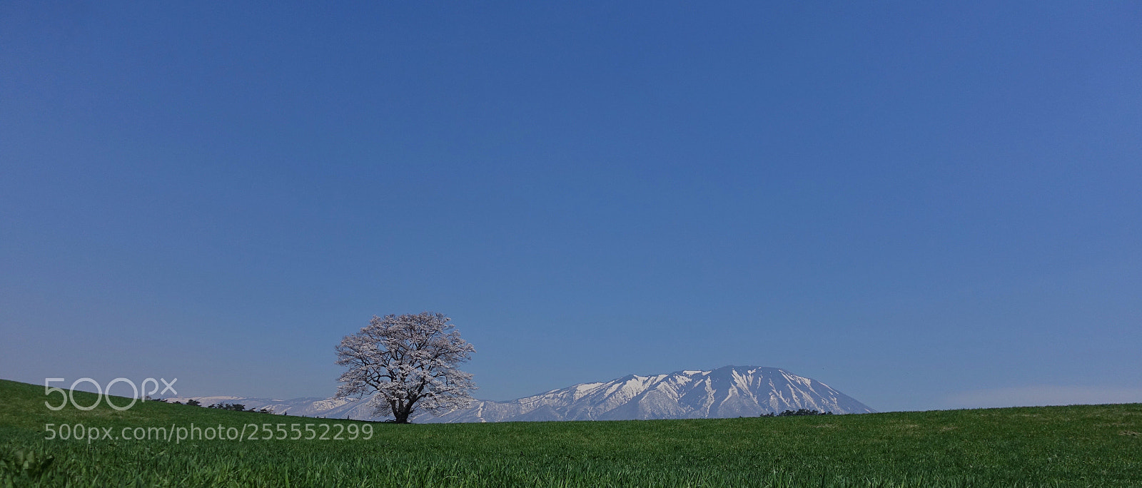Sony Cyber-shot DSC-RX100 IV sample photo. Spring in the farm photography