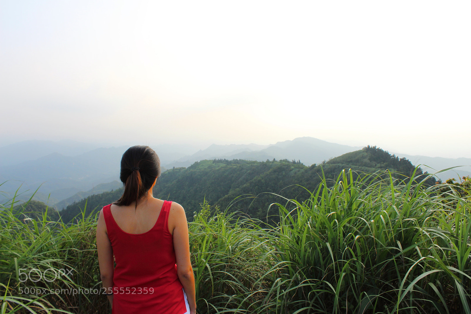 Canon EOS 1300D (EOS Rebel T6 / EOS Kiss X80) sample photo. Mountaintop sunset near keelung photography