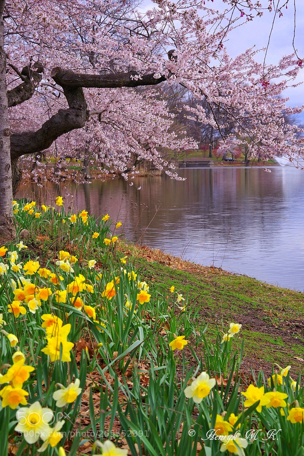 Pentax K-1 sample photo. Spring in new jersey. photography