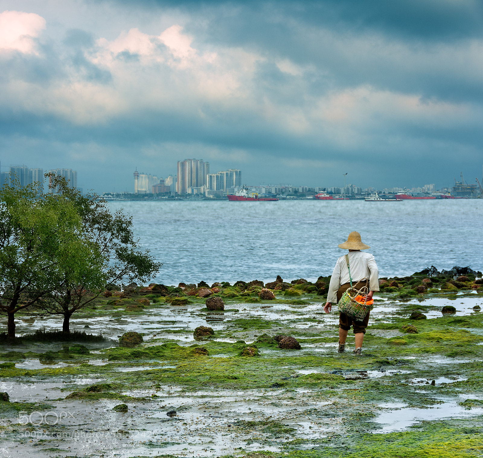 Nikon D7200 sample photo. Hope photography