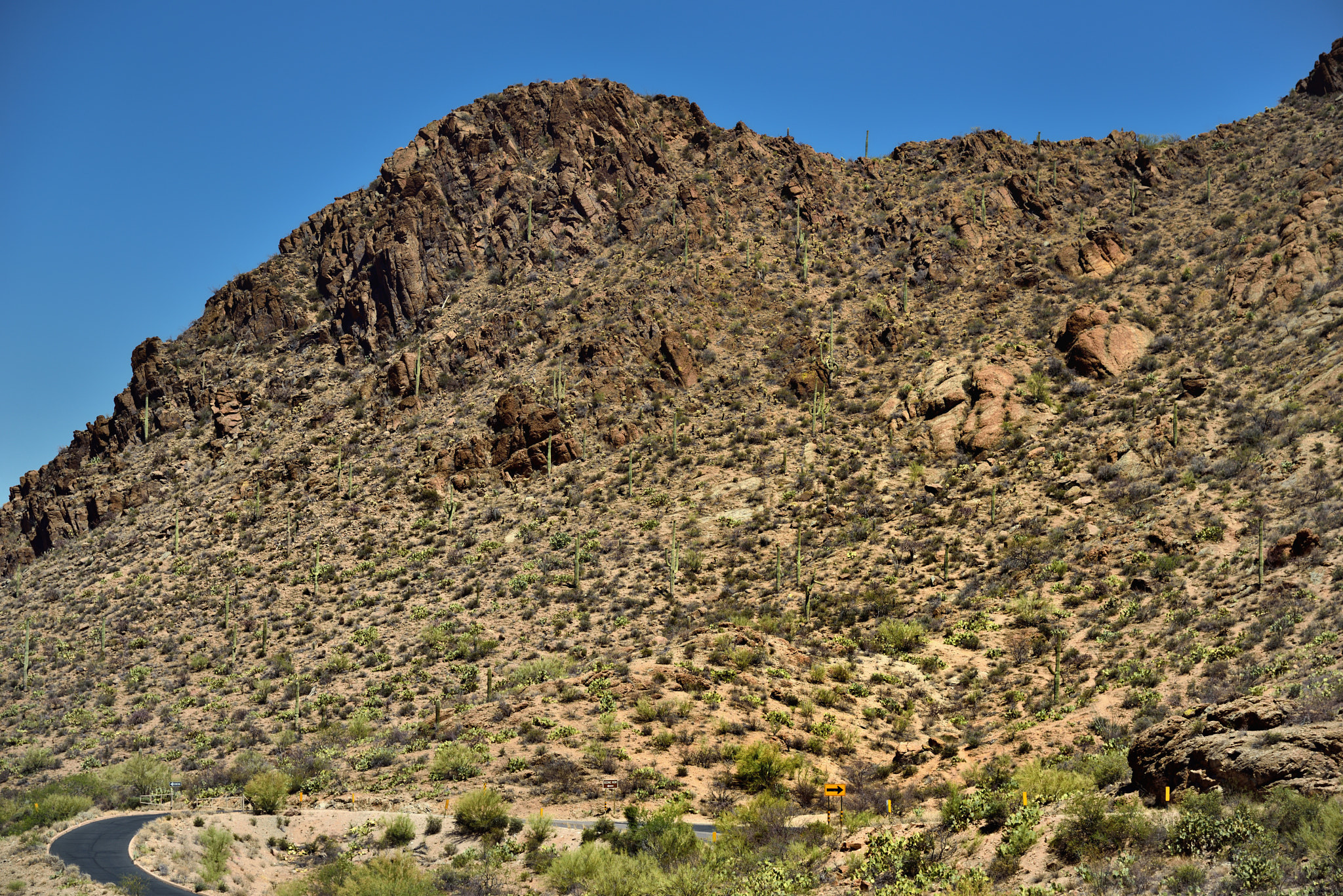 Nikon D800E + Nikon AF-S Nikkor 24-120mm F4G ED VR sample photo. A road winding through the tucson mountains photography