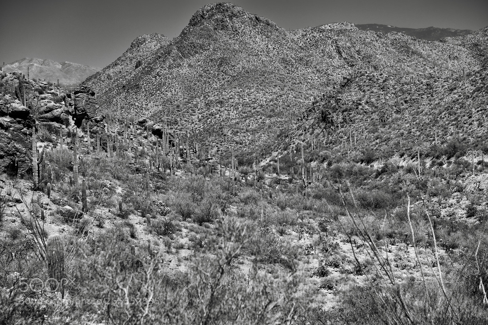 Nikon D800E sample photo. Late afternoon sun over photography